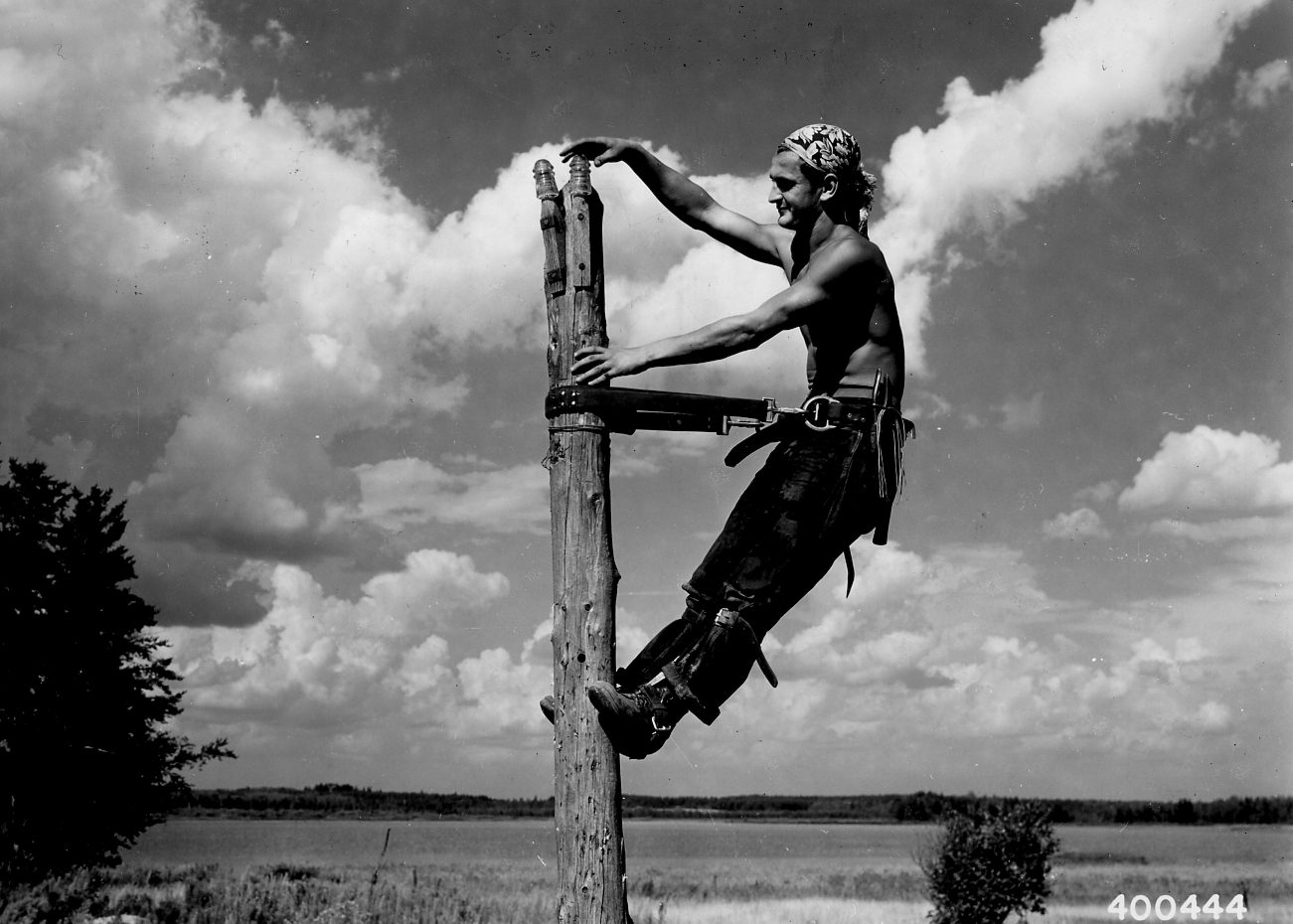 CCC enrollee Carl Simon putting insulators on a telephone pole near Luna Lake camp, Minnesota