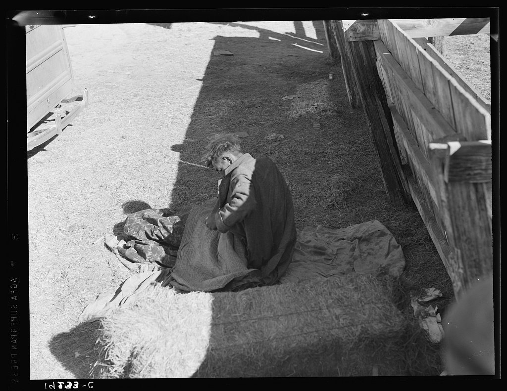 Hobo waking beside a corral, Imperial Valley, California